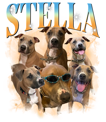 Stella.png