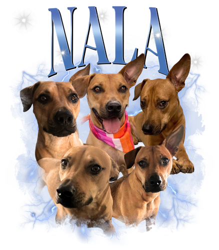 Nala + 9 blue + 1.png