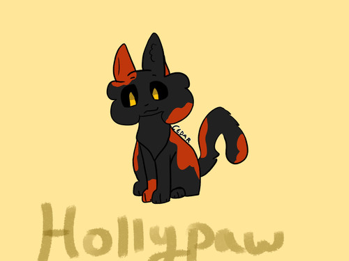 Hollypaw.jpg