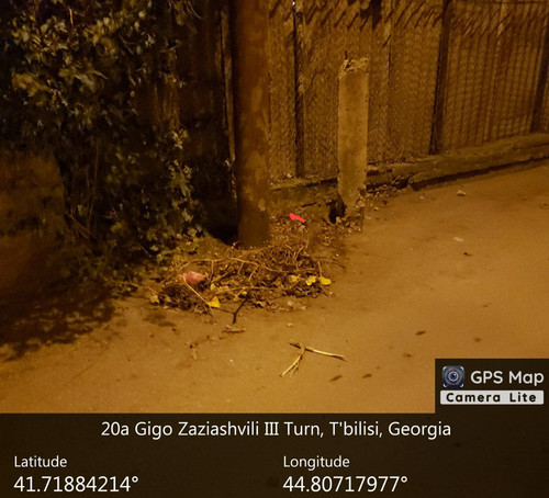IMG 20231217 234814 862.jpg