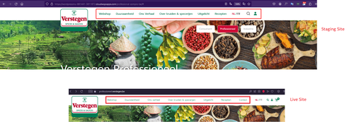 Profesioneel BE Header Missing Menu.png