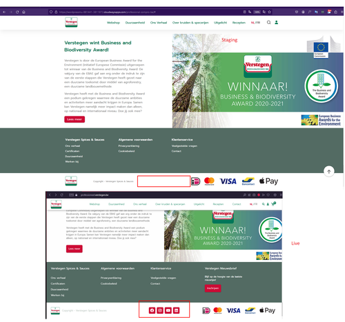 Profesioneel BE Footer Section Social Media Links.png