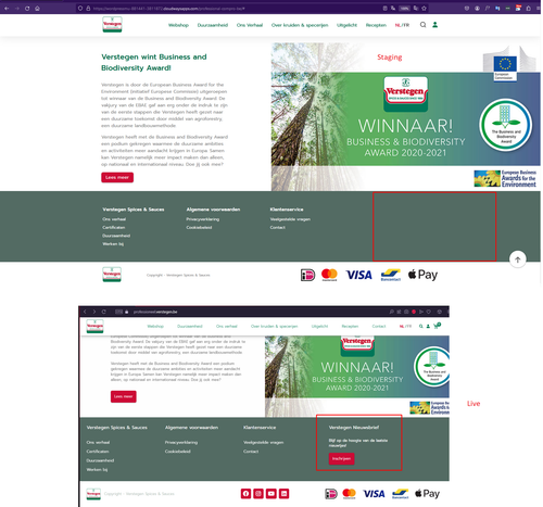 Profesioneel BE Footer Section Missing Menu.png