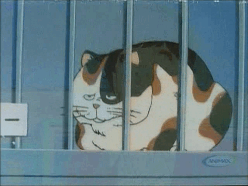 ezgif 2 68b6a085d8.gif