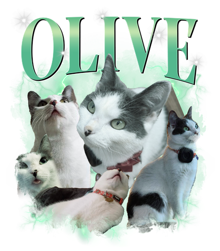 olive.png