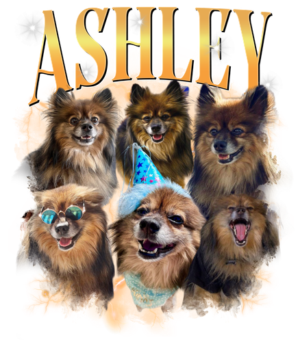 Ashley 3 yellow orange 1.png