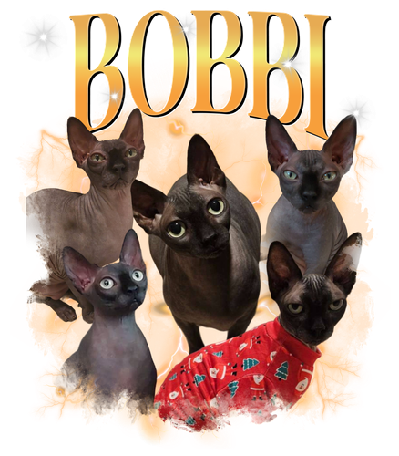 Bobbi 3 yellwo orange 1.png