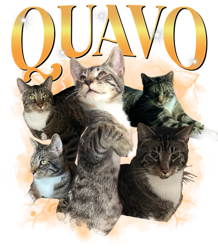 Quavo.png