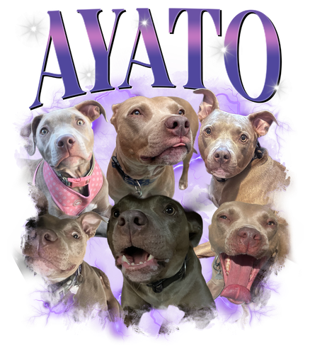 Ayato 3127034781.png