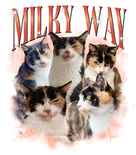 3128114791 HM1711 1 Milky Way 5.png