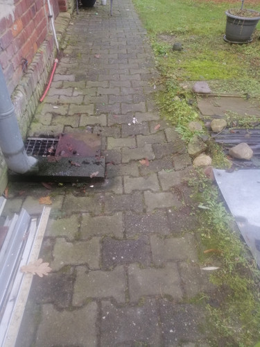 IMG 20231212 112205.jpg