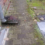 IMG 20231212 112205