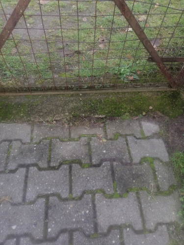 IMG 20231212 112228.jpg