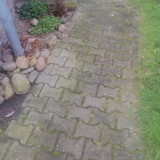 IMG 20231212 112238