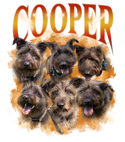 Cooper 2 orange 2.png