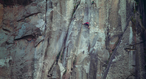 free solo 3.jpg