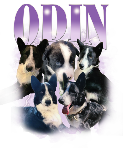 odin.png