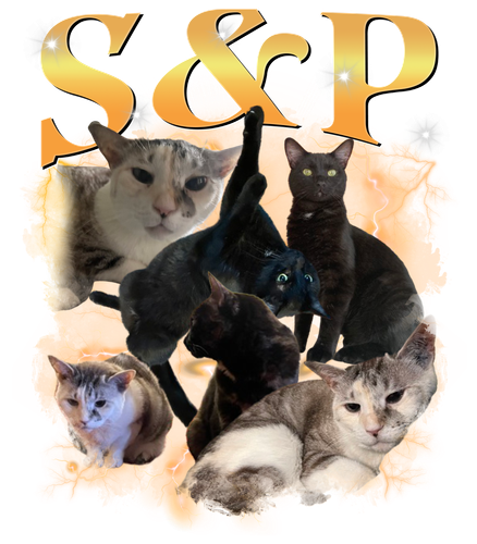 S&P 2.png