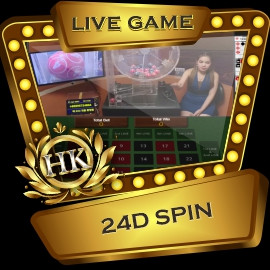 24D SPIN.jpg