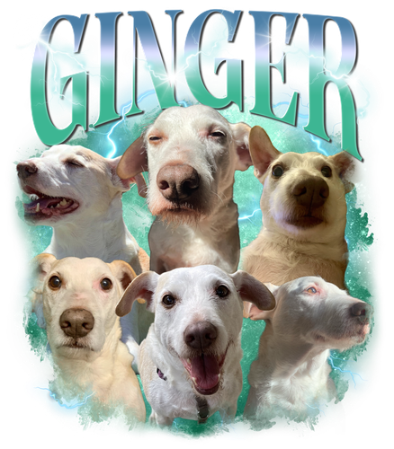 Ginger 3138932578.png