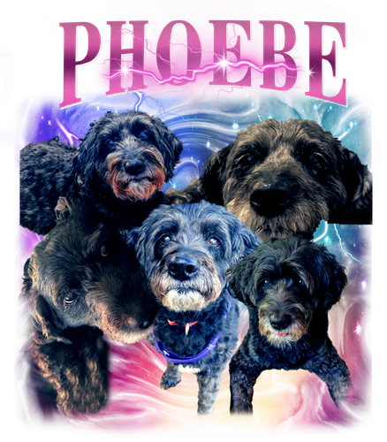 phoebe pink.png