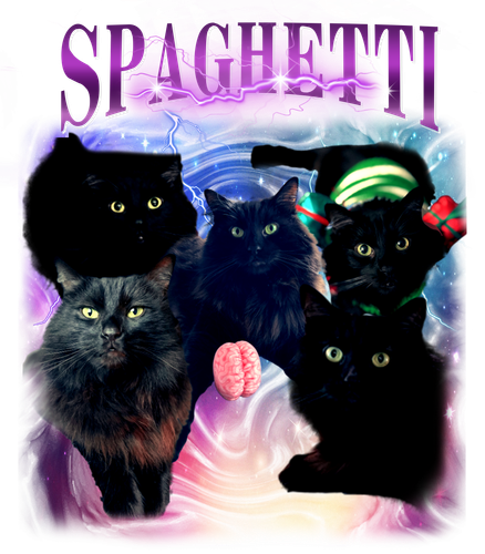 spaghetti.png