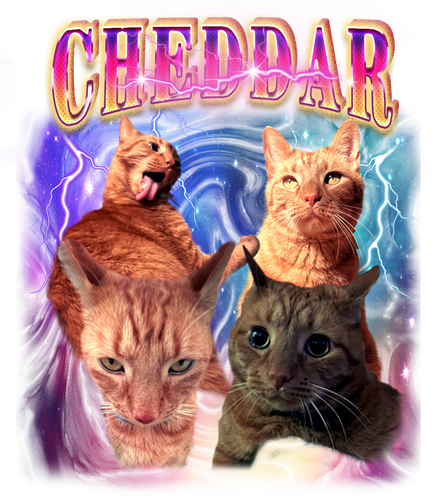 cheddar.png