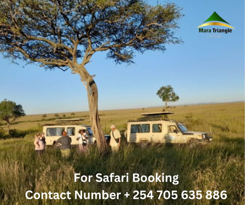 Book Your Kenya and Tanzania safari with us.jpg