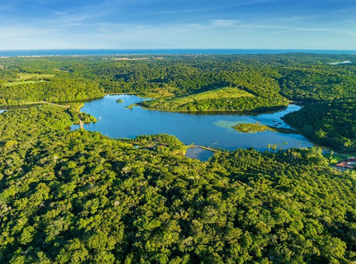 reserrrrvadoslagos aloalobahia.jpg
