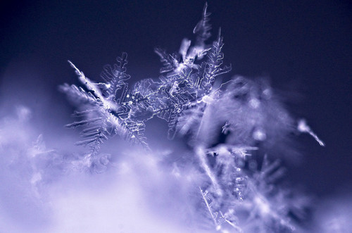 snowflake 6566453 1280.jpg