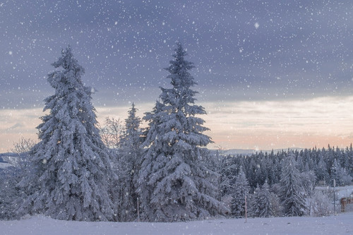 winter landscape 4532412 1280.jpg
