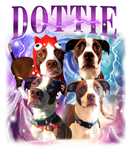 3136517051 Dottie 9 PURPLE F1.png