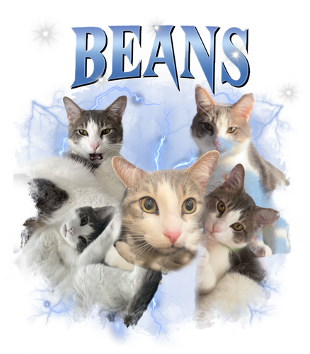 beans.png