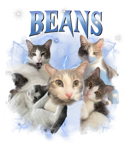 beans.png