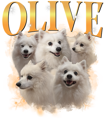 OLIVE 2.png