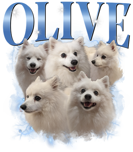 OLIVE.png