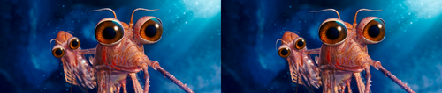 db79867db8c21db3d2d5d6189ac6c9ef.png