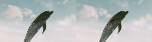 Dolphin.Tale.2011.3D.SBS.BluRay.h265.2audio.DTS HD.MA.5.1 SHMA.mkv 20231214 130036.310.png