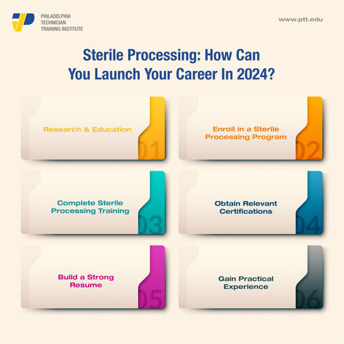 Guide For Career Launch In 2024.jpg