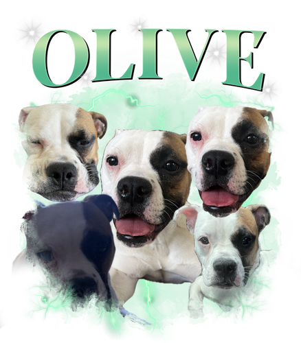olive.png