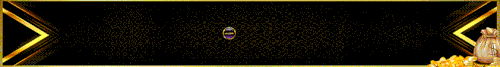 GIF WEB.gif