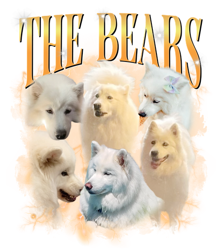 3136367350.png
