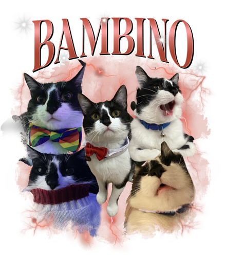 bambino.png