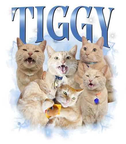 3133450724.png