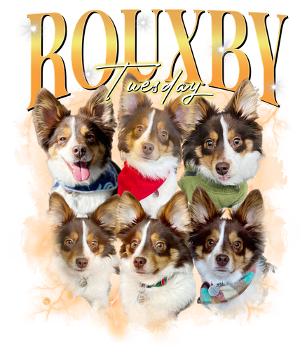 3138337970 1. ROUXBY Tuesday.png
