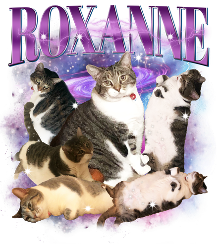 3145760342.png