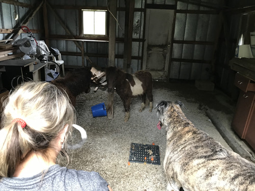 4A53D507 B210 4CF5 B411 137083CC0283.jpg