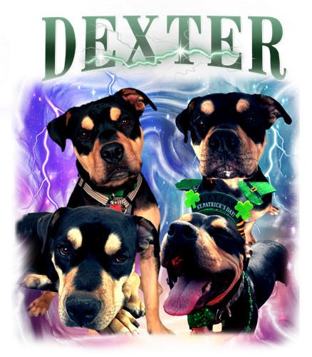 dexter.png