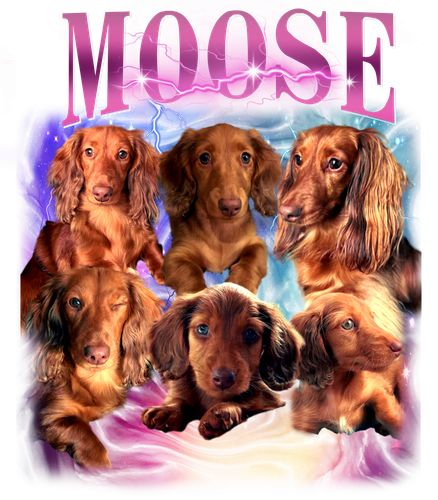 moose 1.png