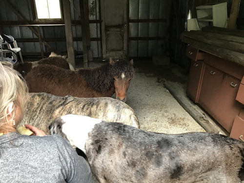 DDC94C45 04B8 43E2 89E4 A991E47A5C8E.jpg